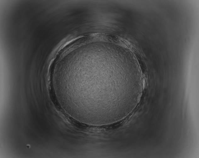 X0000085050339200703051422