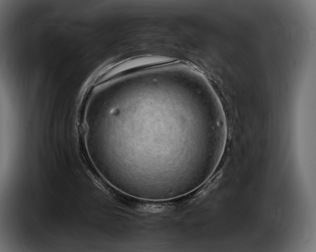 X0000085050341200703051422