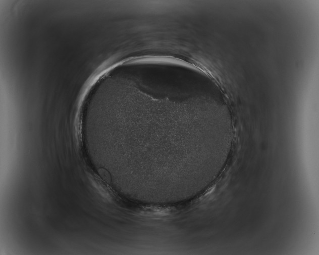 X0000085050343200703051422
