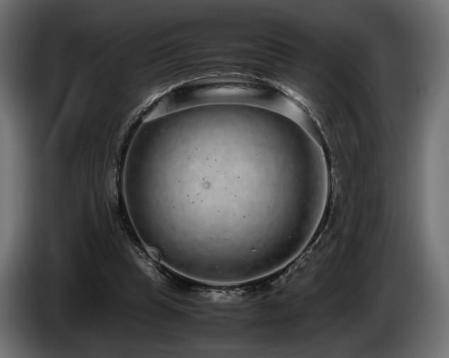 X0000085050345200703051422