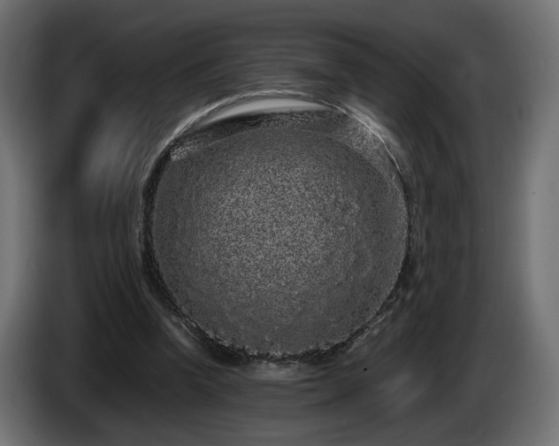 X0000085050346200703051422