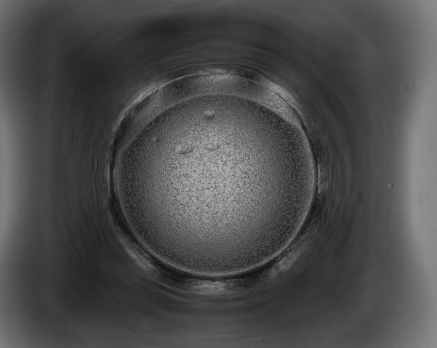 X0000085050349200703051422