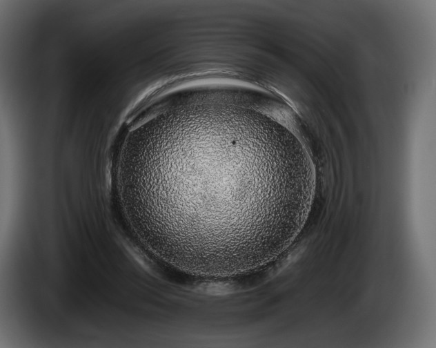 X0000085050350200703051422