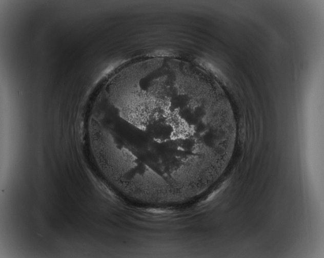 X0000085050351200703051422