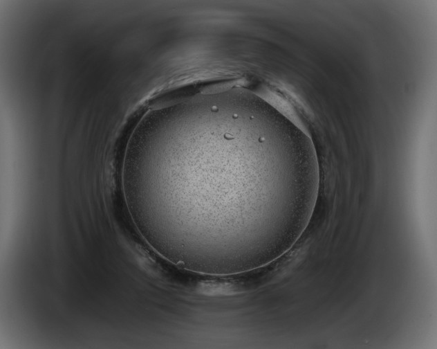 X0000085050354200703051422