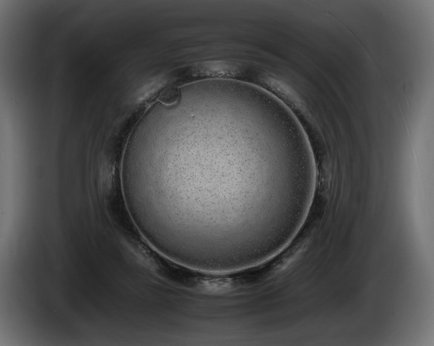 X0000085050355200703051422