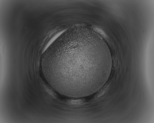 X0000085050357200703051422