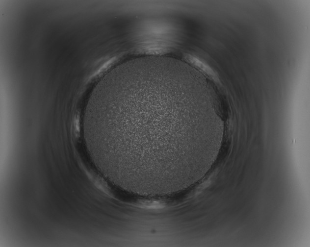 X0000085050358200703051422
