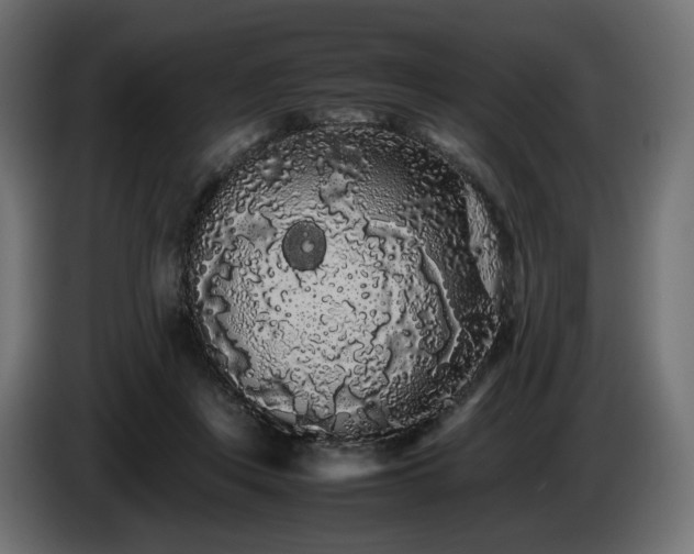 X0000085050359200703051422