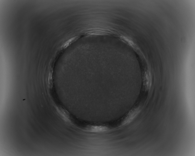 X0000085050360200703051422
