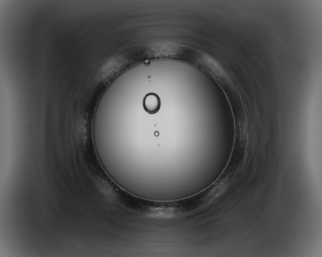 X0000085050362200703051422