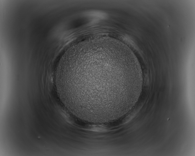 X0000085050363200703051422