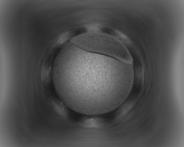 X0000085050364200703051422