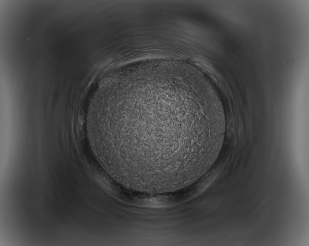 X0000085050365200703051422