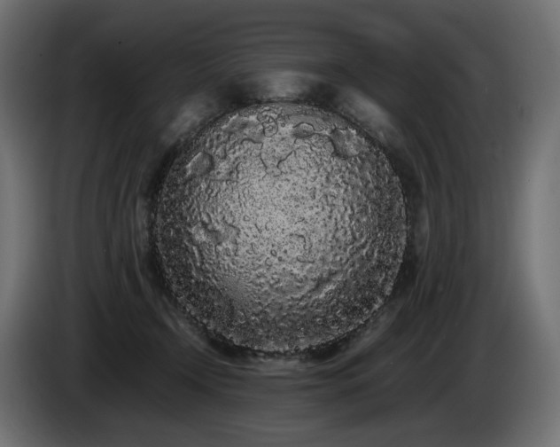 X0000085050366200703051422