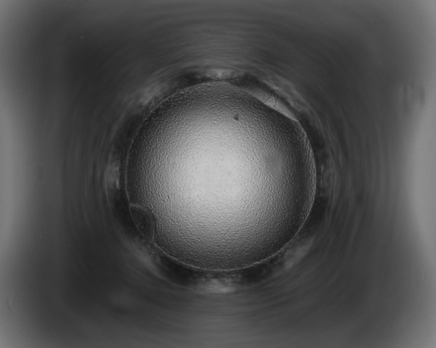 X0000085050368200703051422