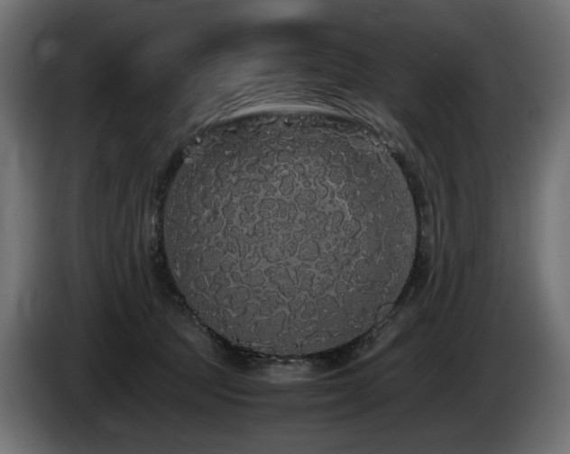 X0000085050369200703051422