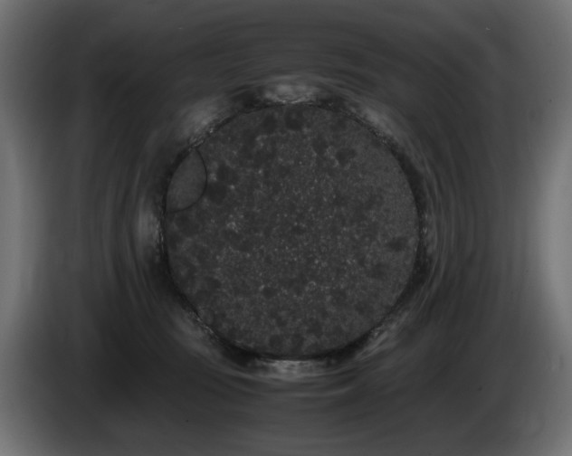 X0000085050371200703051422