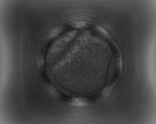 X0000085050372200703051422