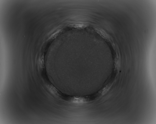 X0000085050376200703051422