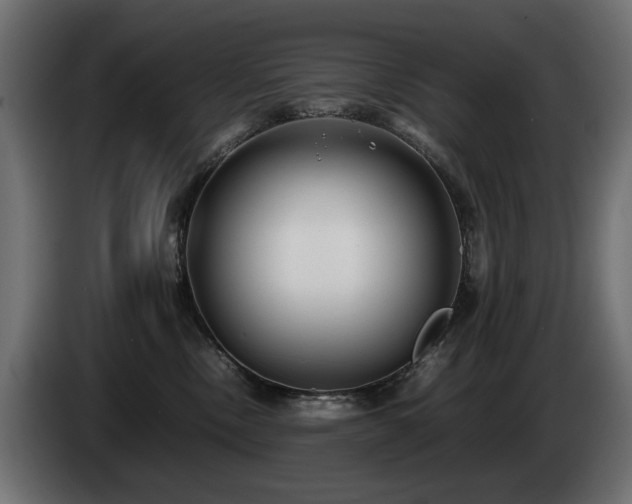 X0000085050378200703051422