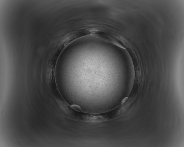 X0000085050379200703051422