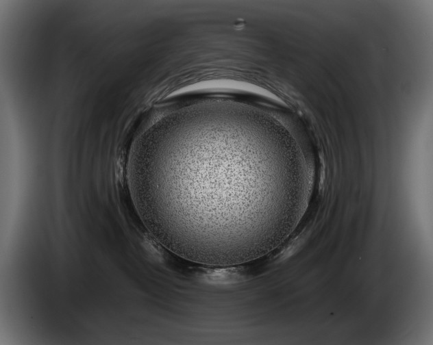 X0000085050382200703051422