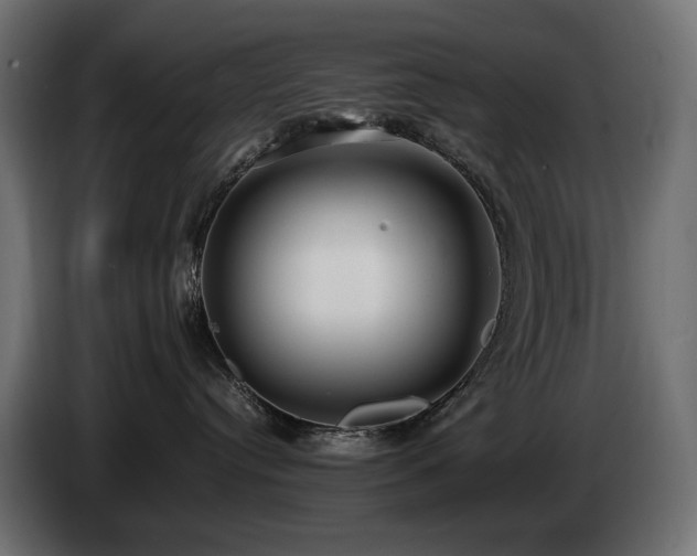 X0000085050384200703051422
