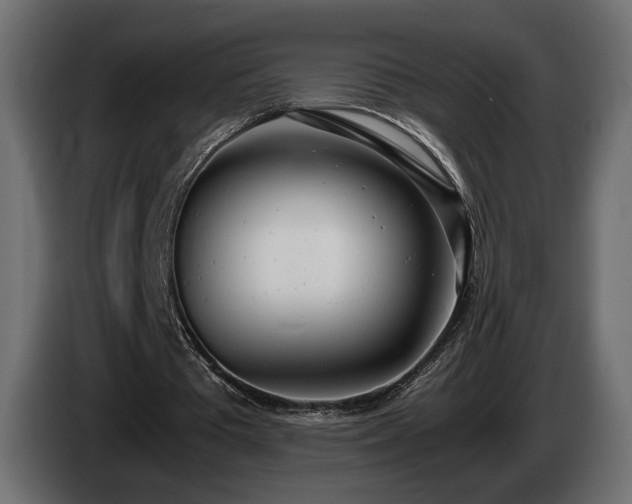 X0000085050385200703051422