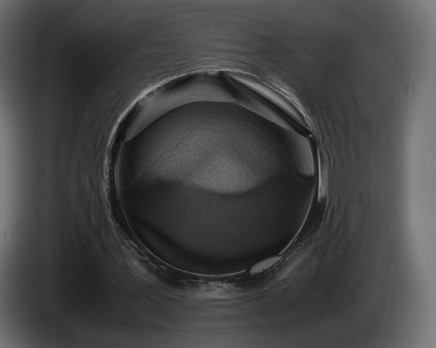 X0000085050387200703051422