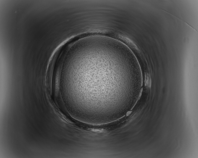 X0000085050388200703051422