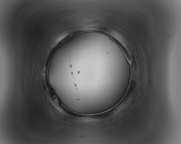 X0000085050389200703051422