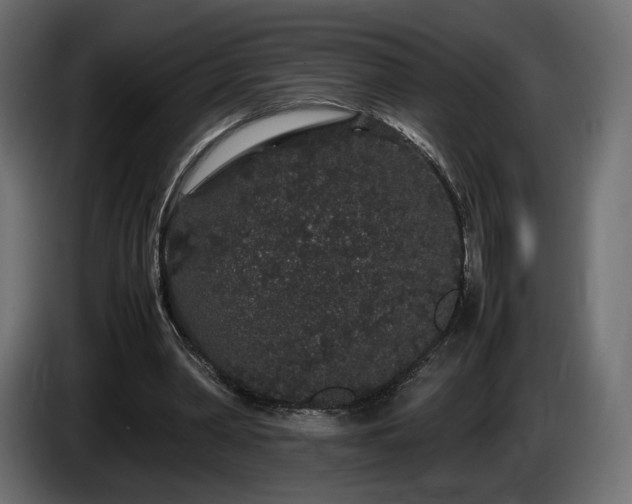 X0000085050390200703051422