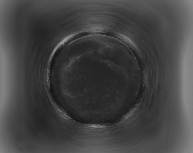 X0000085050392200703051422