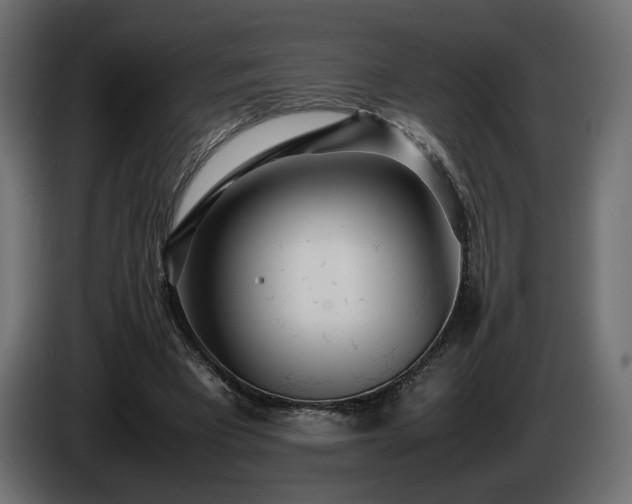 X0000085050393200703051422