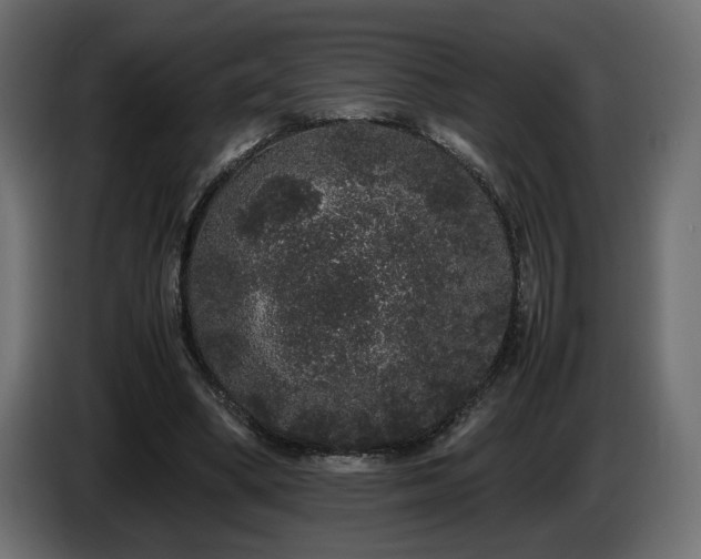 X0000085050394200703051422