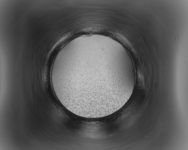 X0000085050396200703051422