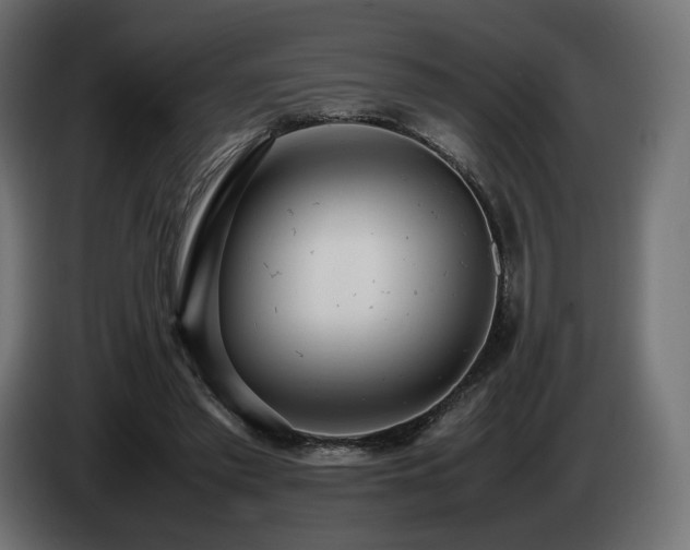 X0000085050397200703051422