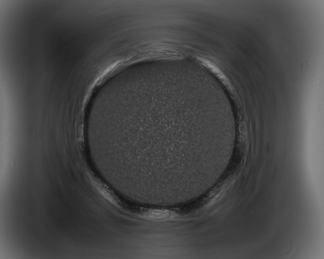 X0000085050399200703051422
