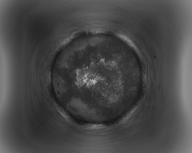 X0000085050401200703051422
