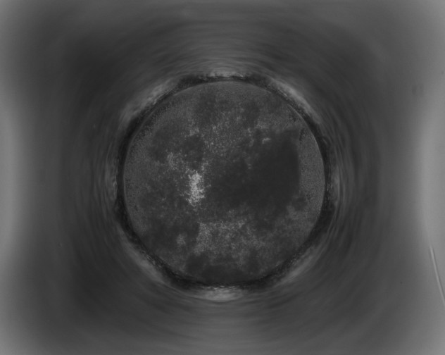 X0000085050402200703051422