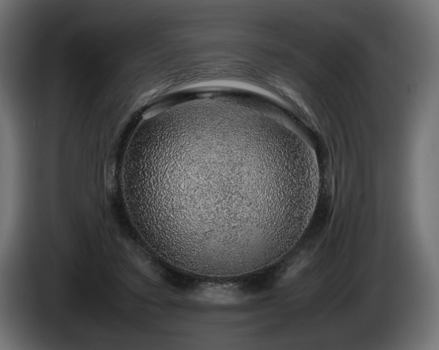 X0000085050403200703051422