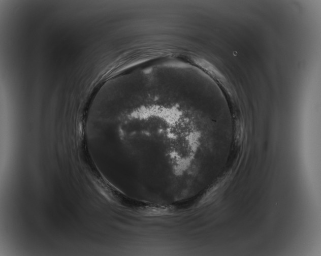 X0000085050405200703051422