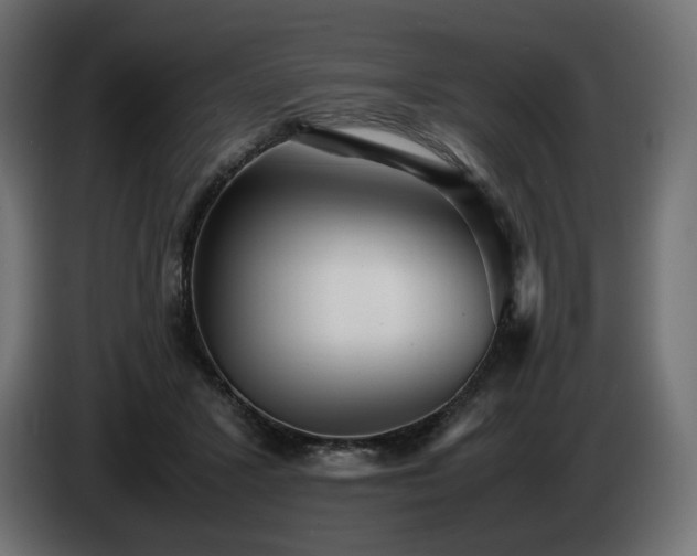X0000085050407200703051422
