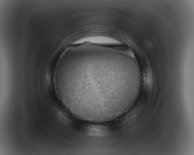 X0000085050408200703051422
