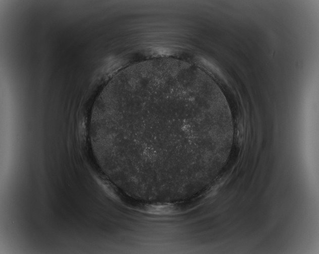 X0000085050410200703051421
