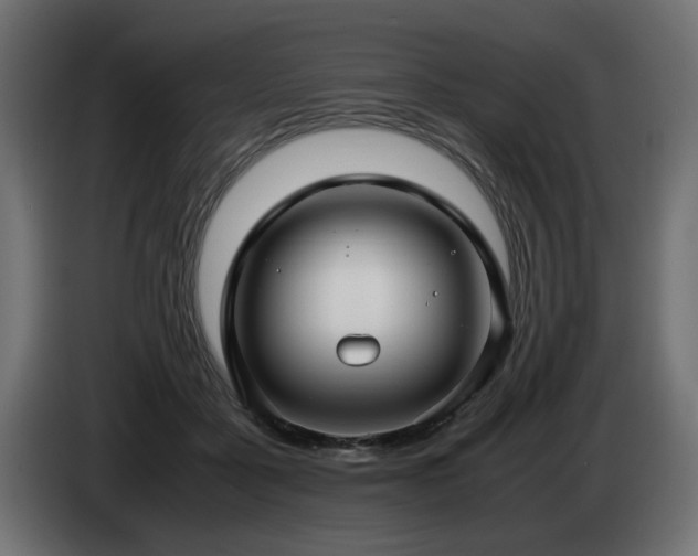 X0000085050411200703051421