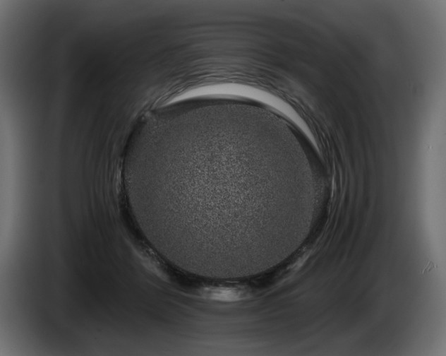 X0000085050412200703051421