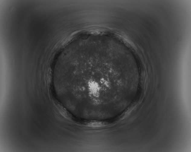 X0000085050413200703051421