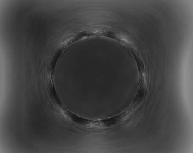 X0000085050415200703051421